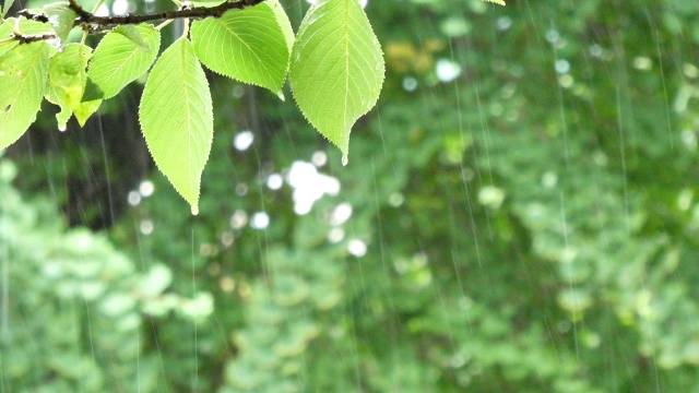 空調服が使えるか気になる雨の日のイメージ